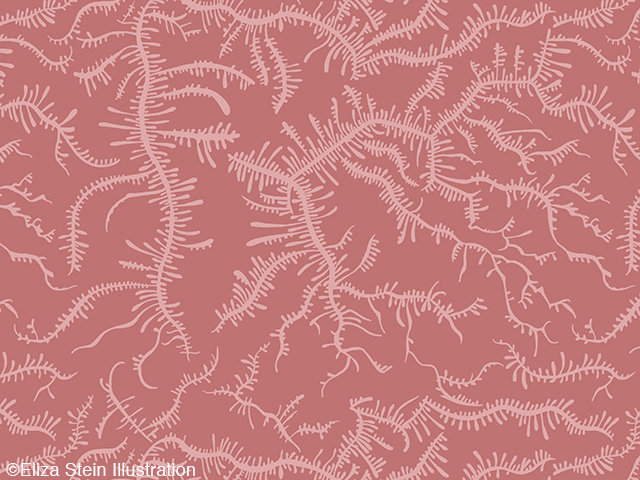 Ferning Pattern in Dusty Rose