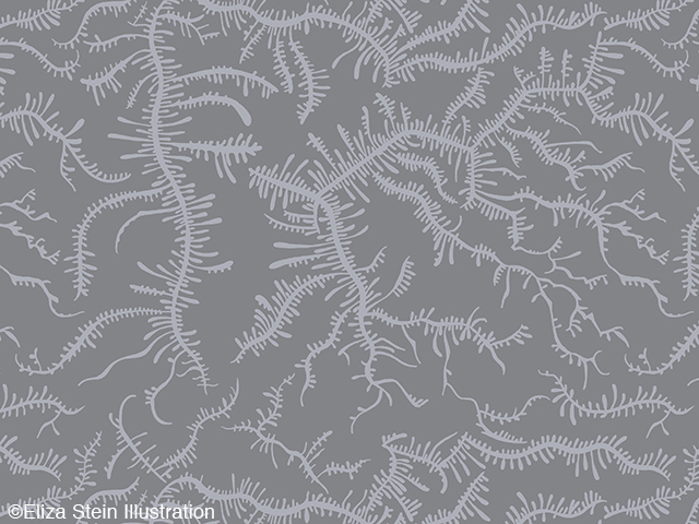 gray ferning pattern