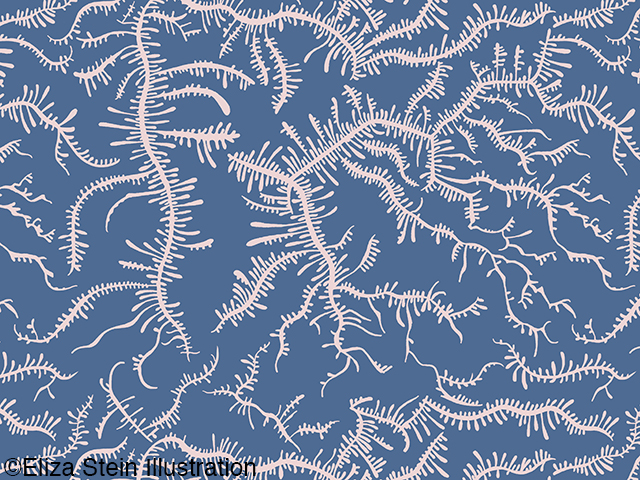 blue and pink ferning pattern