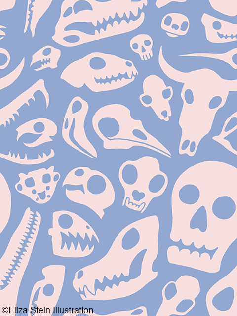 animal skull pattern