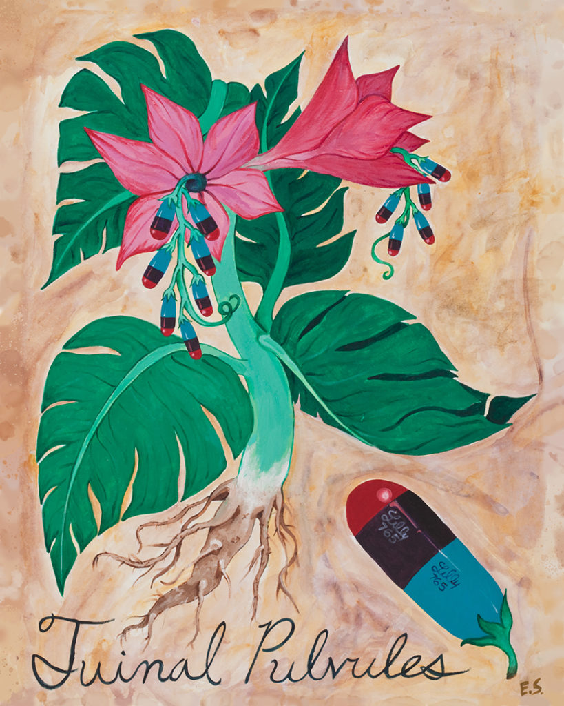 tuinal pulvules painting