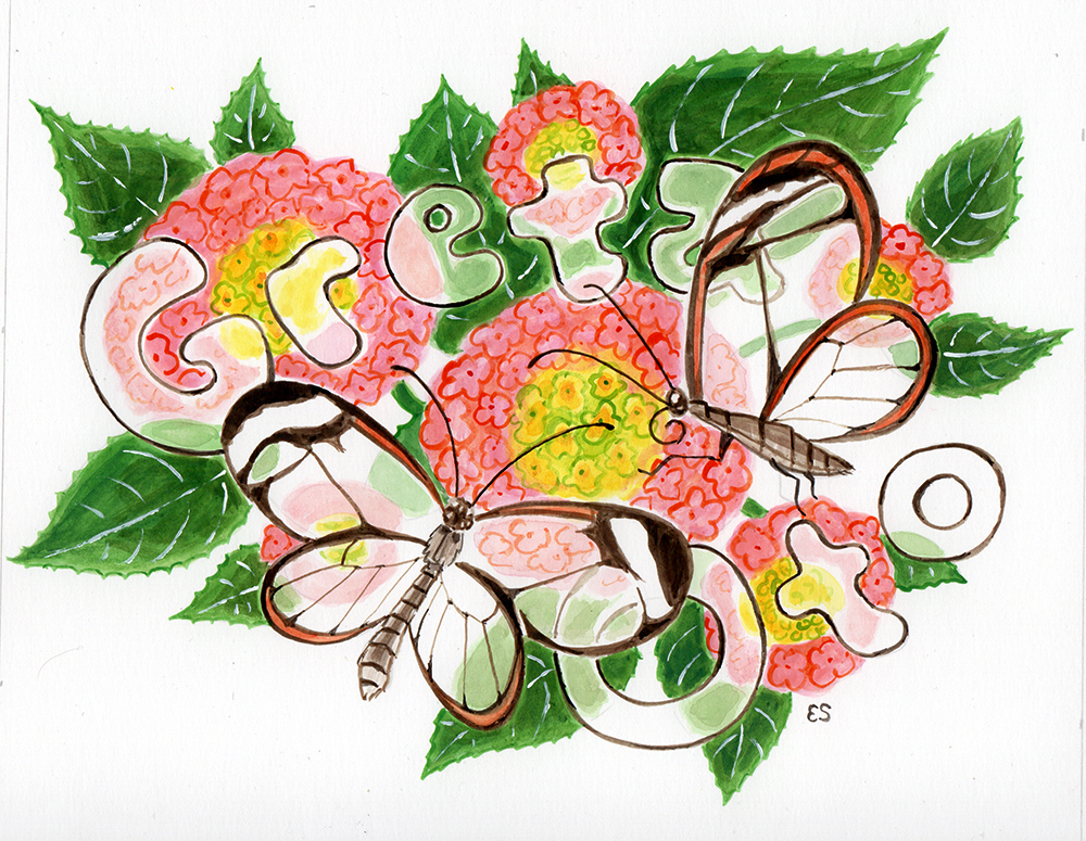 two glasswing butterflies perch on their favorite source of food, the lantana flower